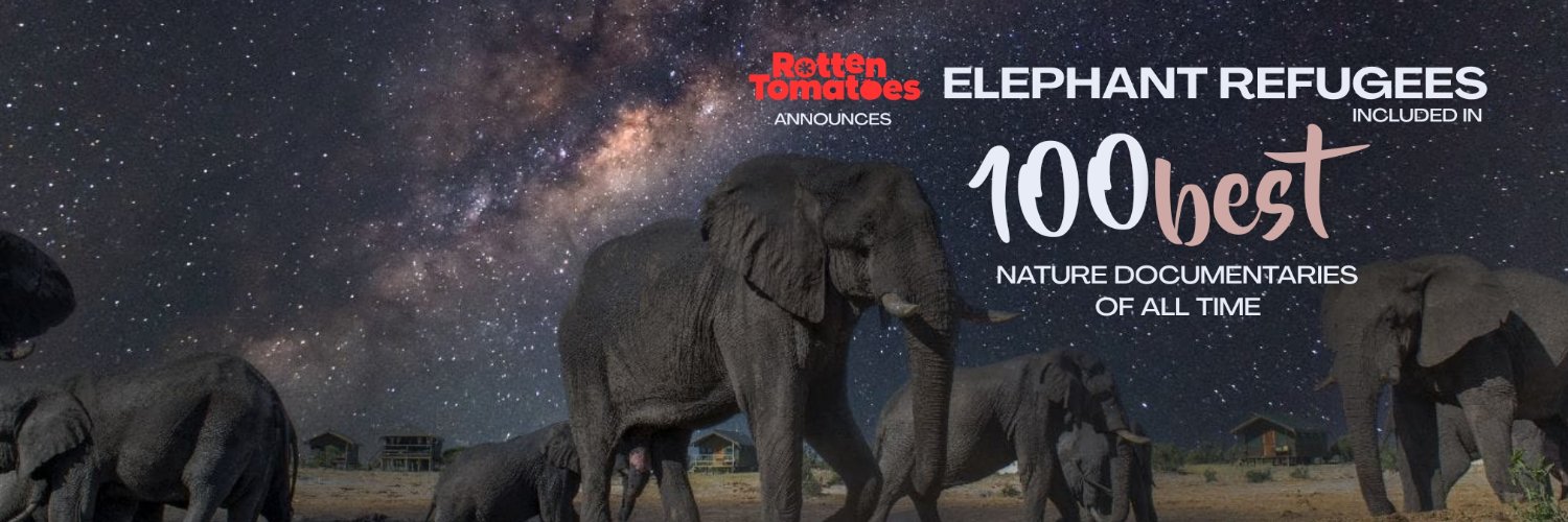 dolfilms's profile banner image