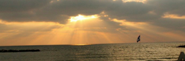 harper_spero Profile Banner