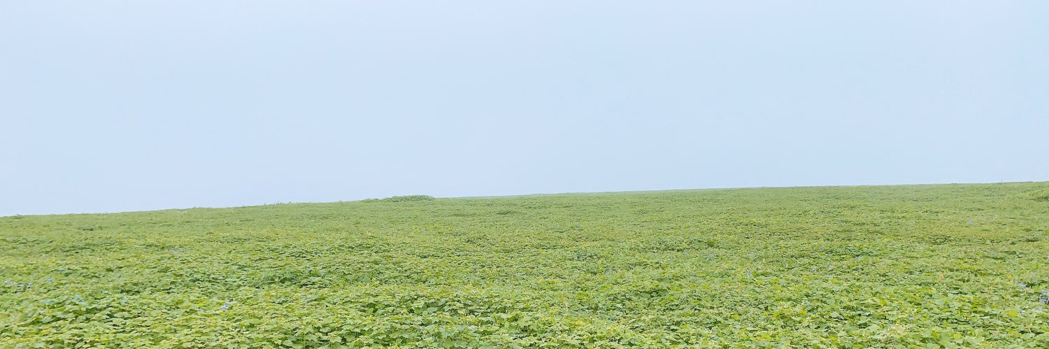 LeslieDSK's profile banner image