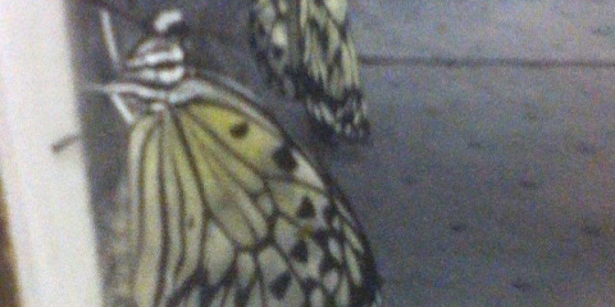 ChyaneeG's profile banner image