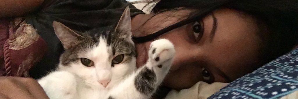 taylorwhalez's profile banner image