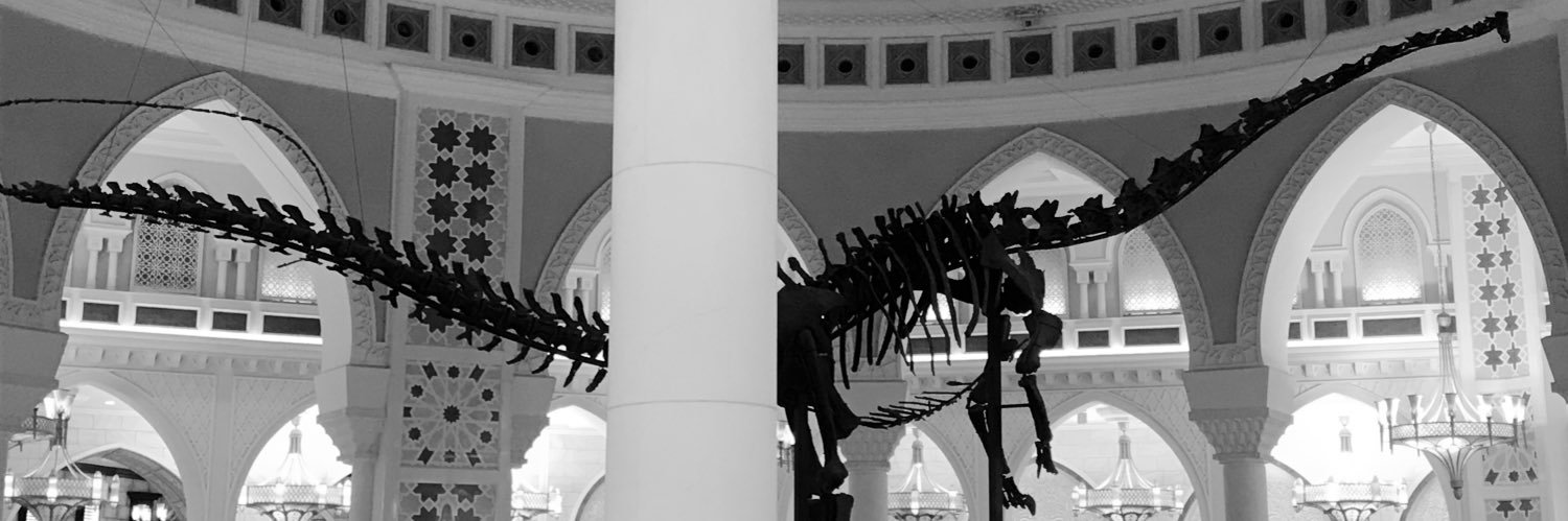 سویه‌ی دهم banner