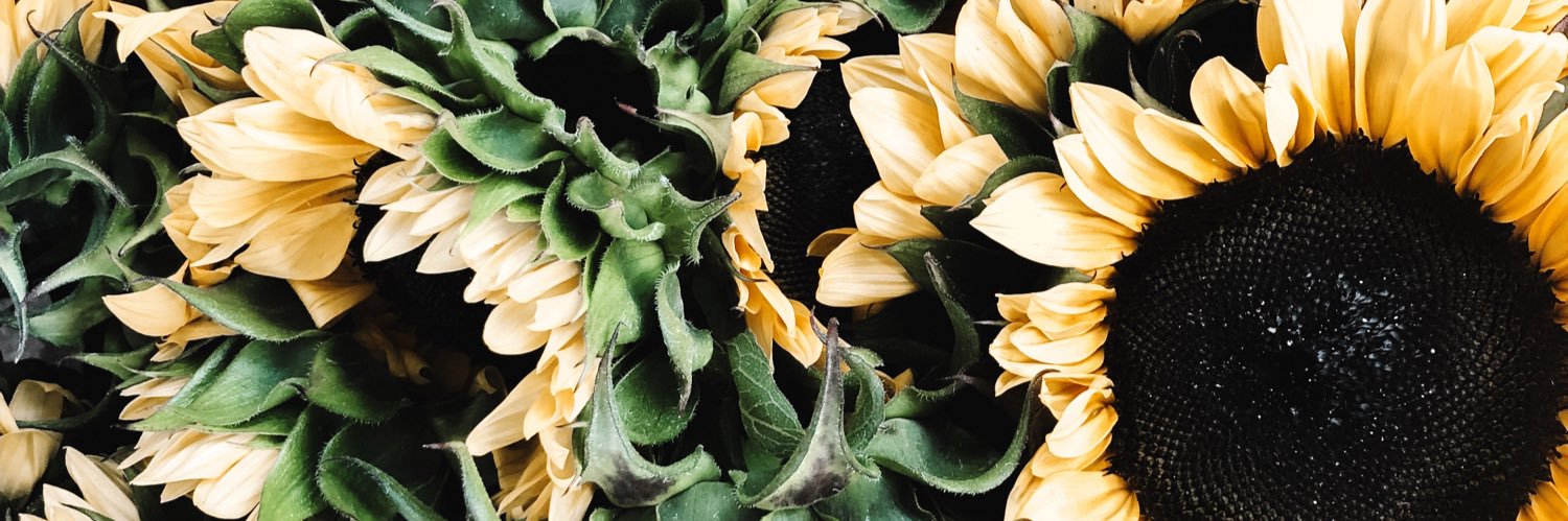 clarerieff's profile banner image