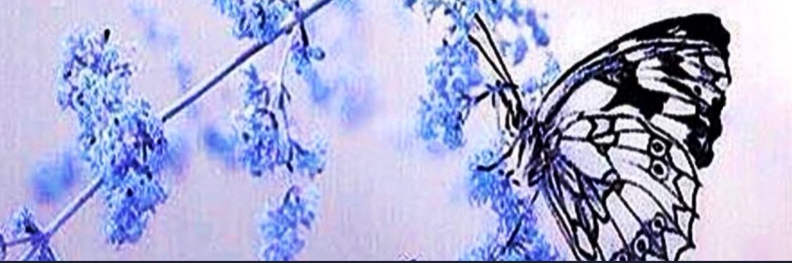أم غيث🦋 banner