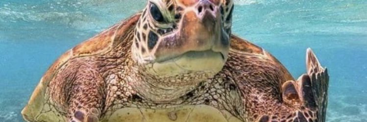 andreas wiklund banner