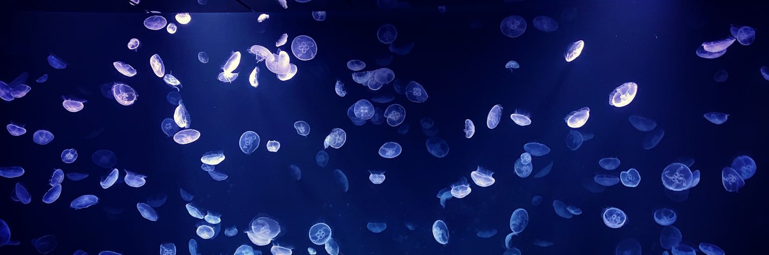 Empty_Aquarium6's profile banner image
