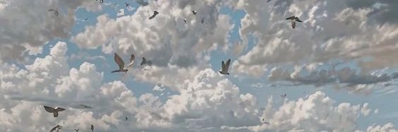 r_anndrade's profile banner image
