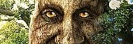 danielobotomia's profile banner image