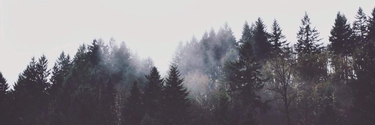 AccionEuropea's profile banner image
