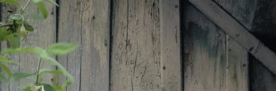 !!! banner