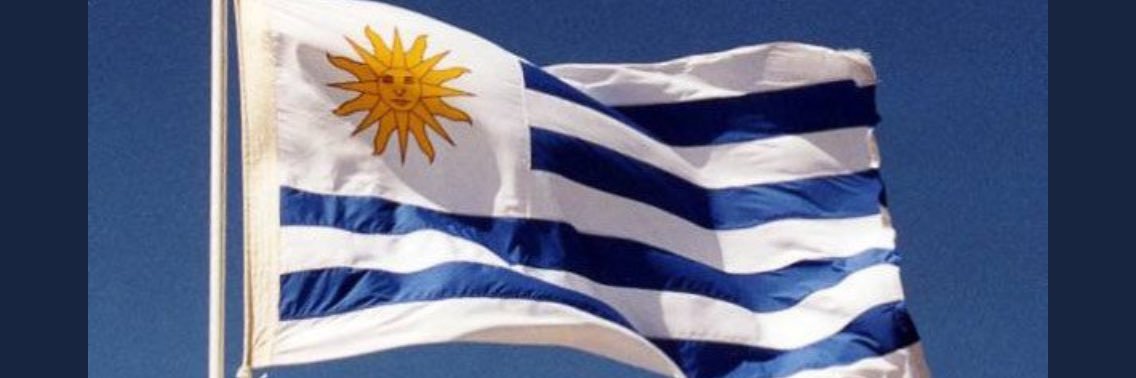 Stella beasly banner