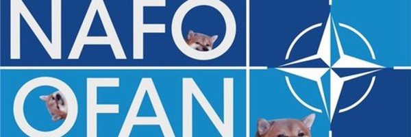 guillaume336983 Profile Banner