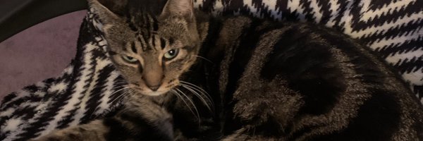 01lev04 Profile Banner