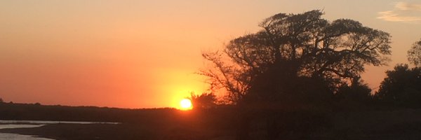 gimo_daniel Profile Banner