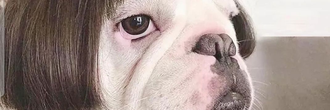 clicky banner