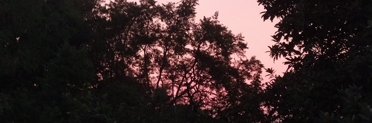 eduj_48's profile banner image