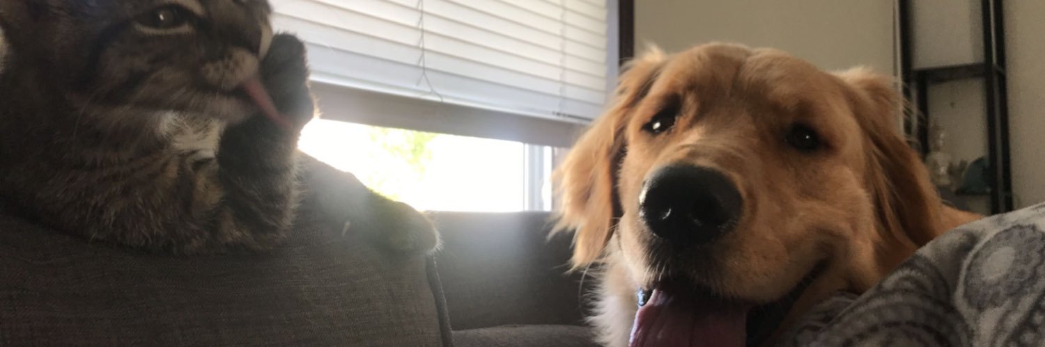 da_plumm's profile banner image