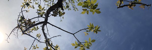 EarlyPrimary Profile Banner