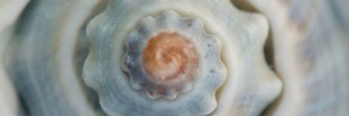Mry57914237's profile banner image