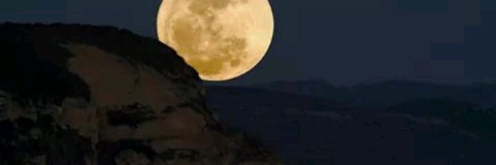 Harmonizer_Mx's profile banner image