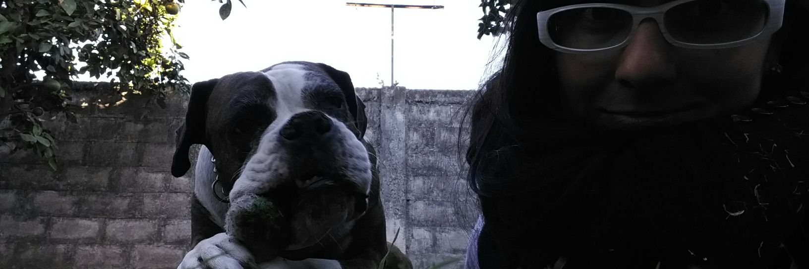 Maritoo0o0's profile banner image