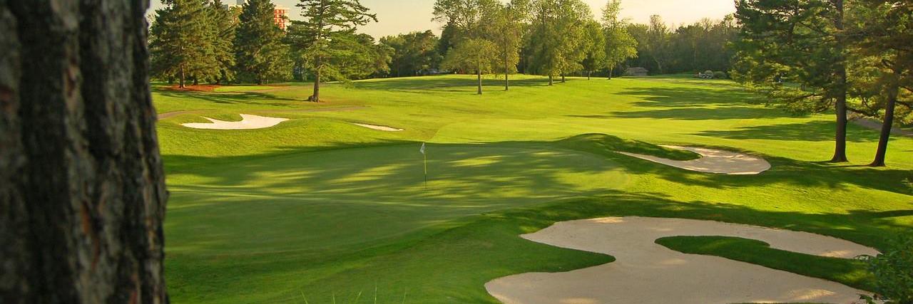 catjrgolf's profile banner image