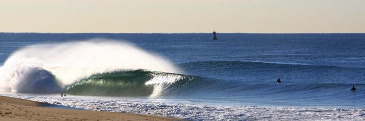 SurfSkateThrash's banner