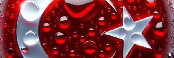 OSabahci Profile Banner