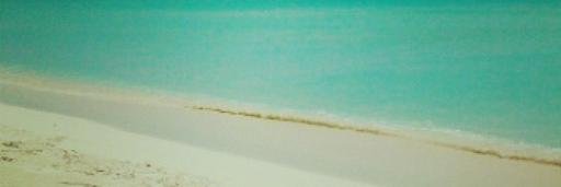 basabech's profile banner image