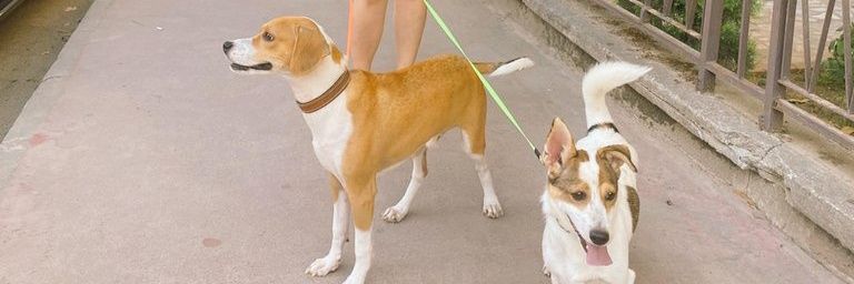 Gizem ❤ #İmamoğluHerYerde banner