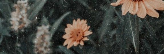 J_Nice17 banner