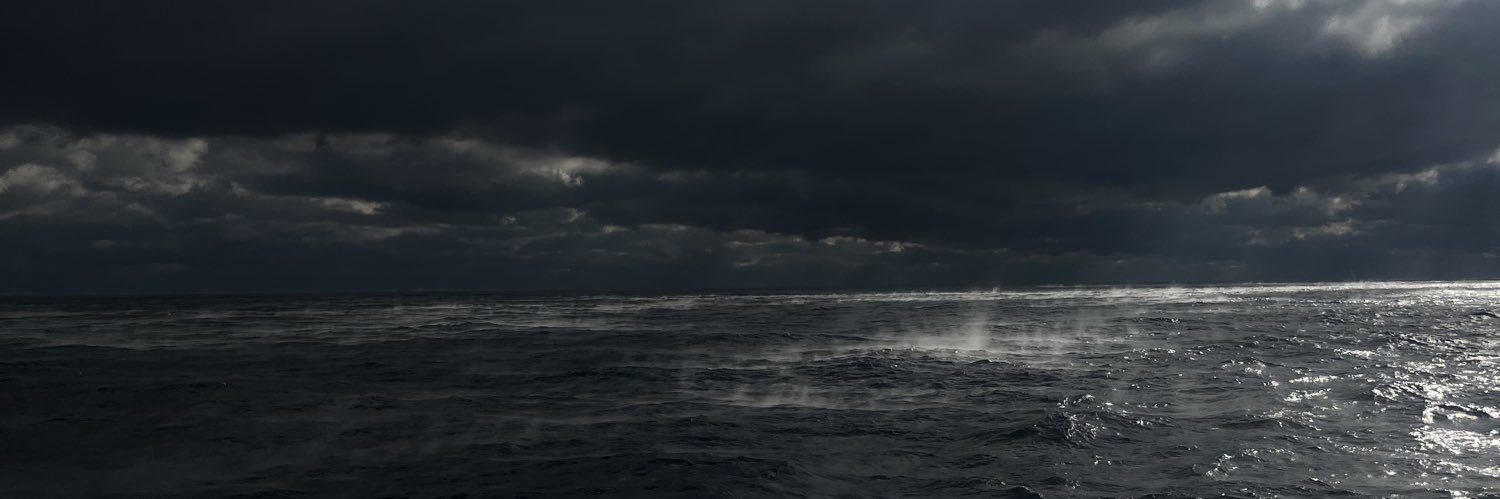 Richard Sailing banner
