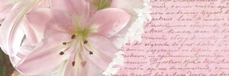 raa ⋆. 𐙚 ˚ banner