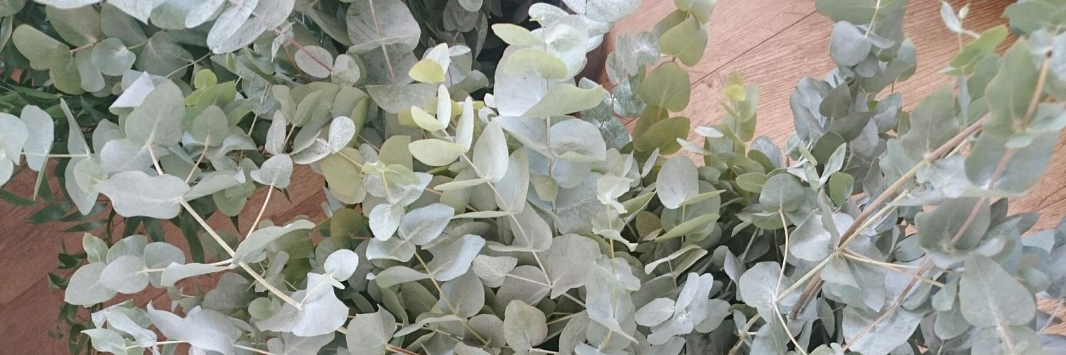 EmilyLLane's profile banner image