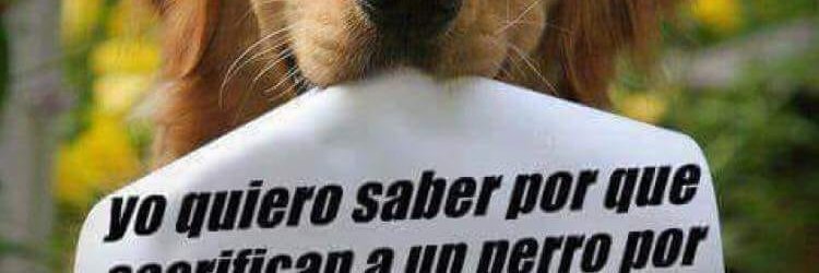 juanchito54's profile banner image