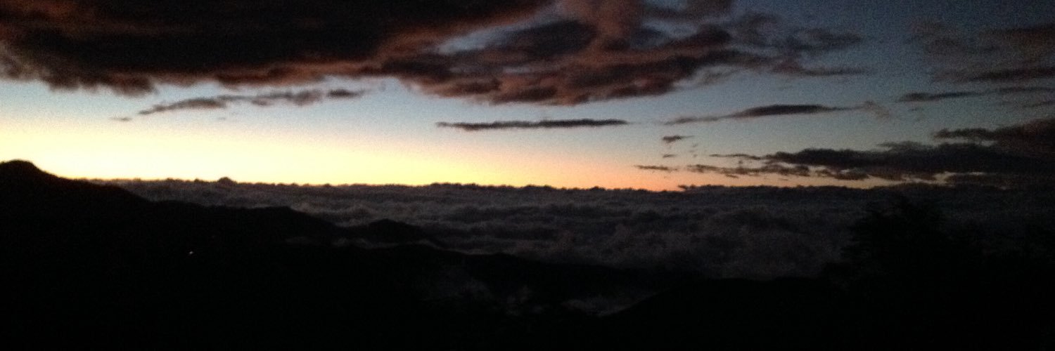 Karol miranda banner