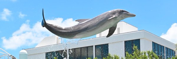 JkeepItG Profile Banner