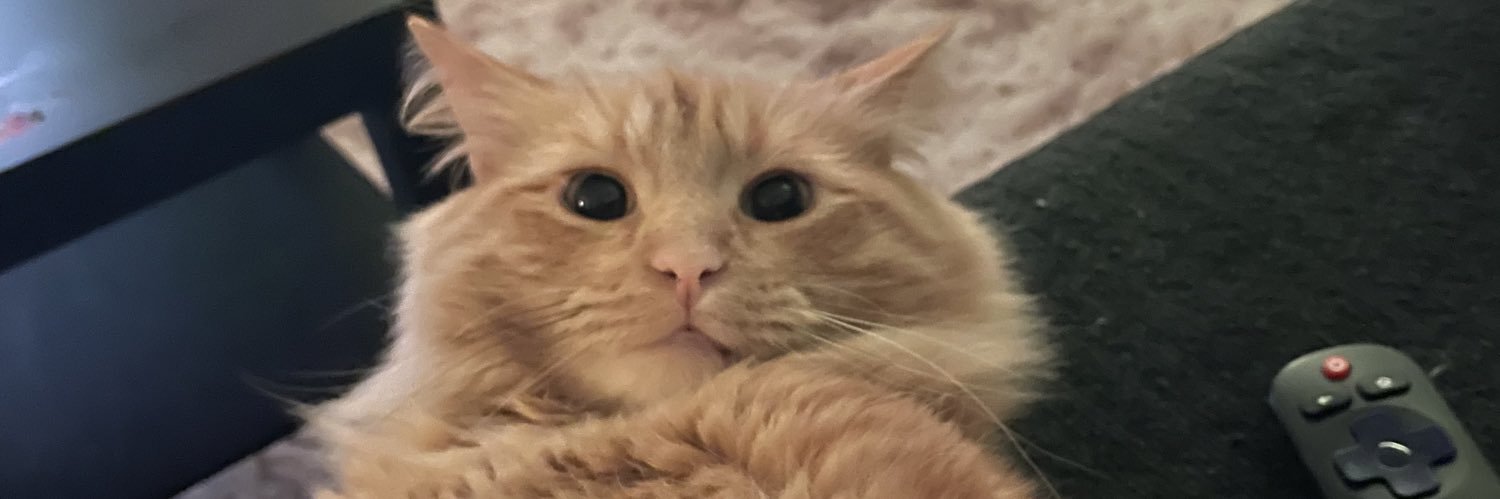 TaylorScott2112's profile banner image
