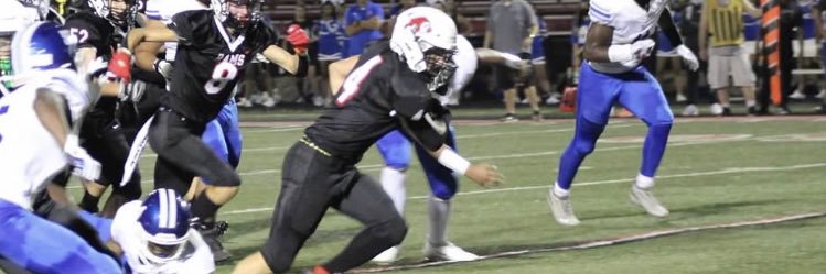 Dimitri Hritz banner