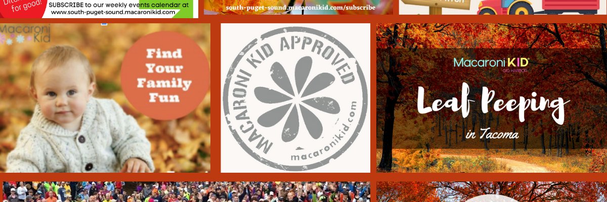 MacKidGigHarbor's profile banner image