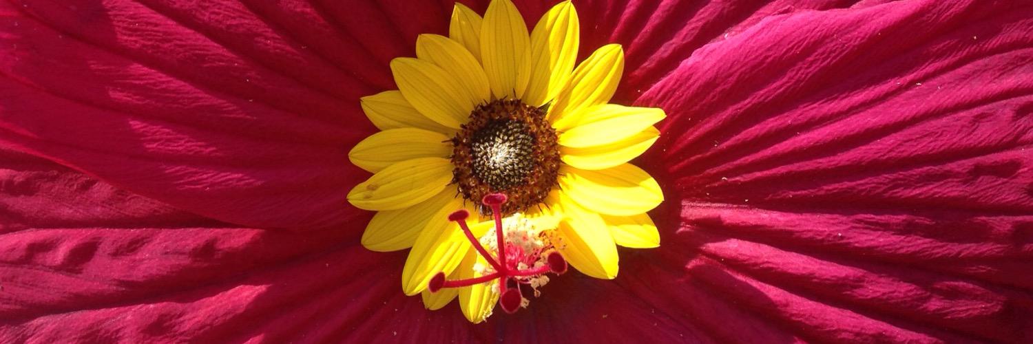 met8895's profile banner image