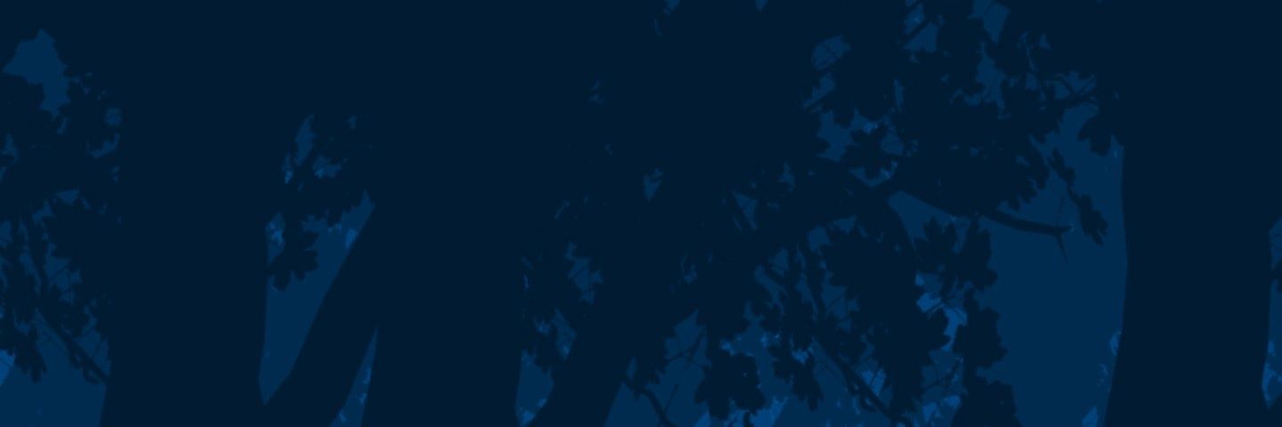 CryptoNav24's profile banner image
