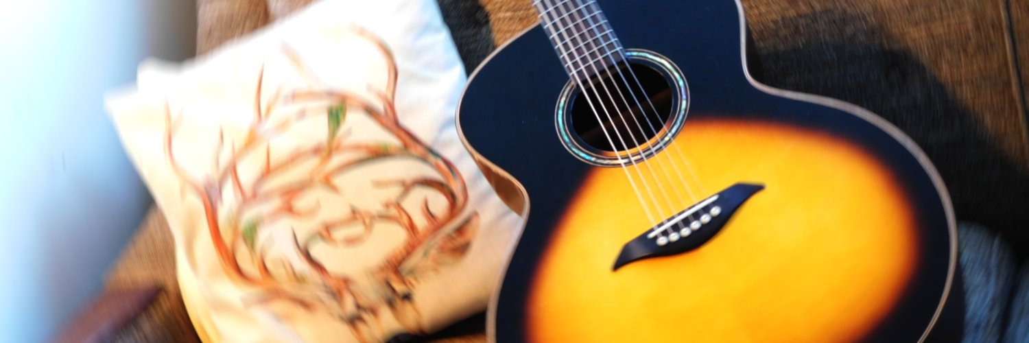TurnerGuitars's profile banner image