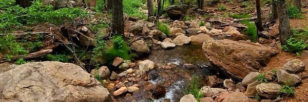 HaleyBColes Profile Banner