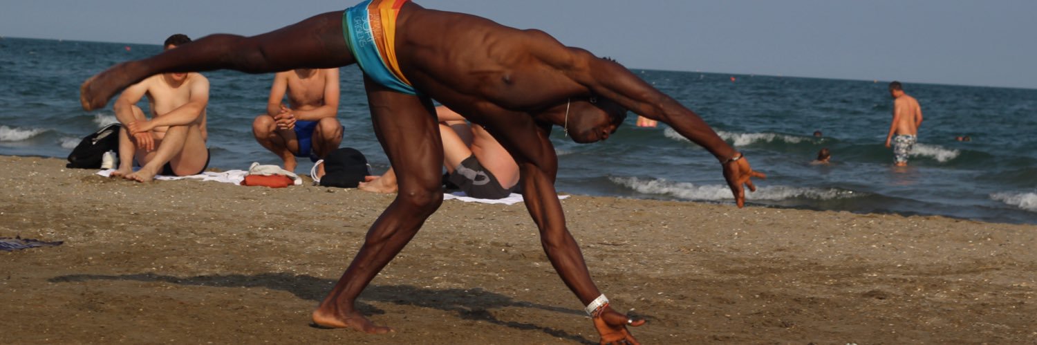 Siddyleal's profile banner image