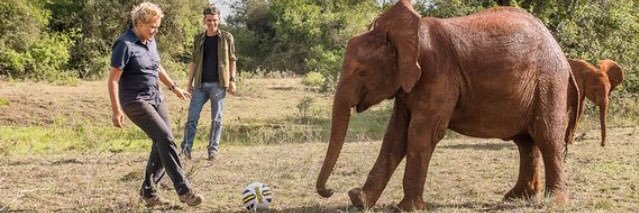 Actus Muriel Robin banner