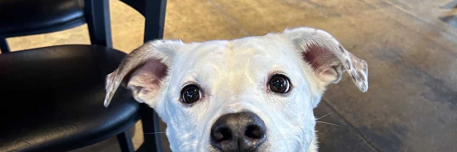 SjobergReport's profile banner image