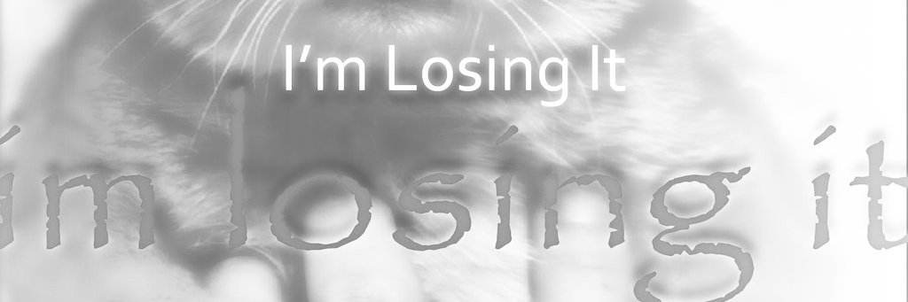 Nisso banner