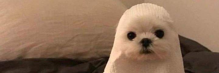 danylito's profile banner image