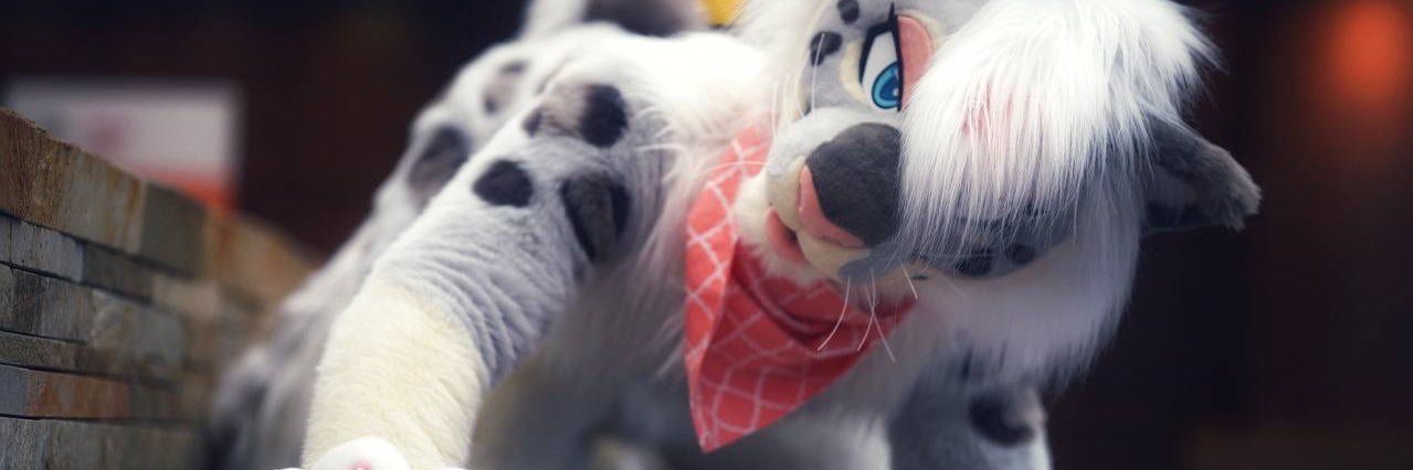 ❄️ Chion Kitty 🌸 banner